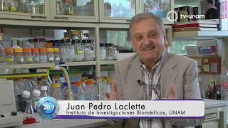 TeniasisCisticercosis Parasitología y Epidemiología [upl. by Hofstetter361]