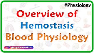 Overview of Hemostasis  Blood physiology Animated video lecture for MBBS [upl. by Lancelle]