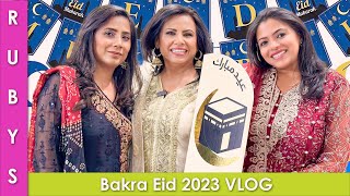 Bakra Eid 2023 VLOG in Urdu Hindi  RKK [upl. by Armanda]