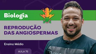 Reprodução das angiospermas​  Biologia  Ensino Médio [upl. by Anaiad]