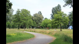 Stadtgrün unter Nutzungsdruck [upl. by Haimerej]