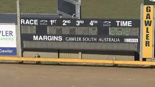 Gawler07082024Race1 [upl. by Angelis]