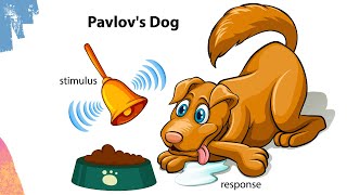 Pavlovs Dog experiment  Classical conditioning theory  Respondent conditioning [upl. by Rosati555]