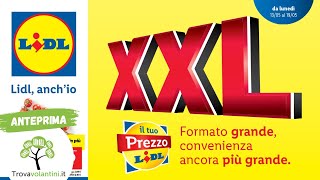 VOLANTINO LIDL dal 13 al 19 maggio 2024 anteprima [upl. by Bilbe]