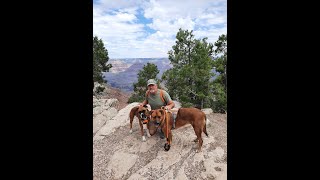 Part 2 Kaibab National Forest Burning Hot 90 Degrees [upl. by Norreg]