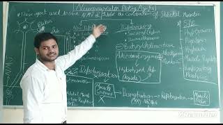 Neuromuscular blocking agents by Rahul Dhounchak [upl. by Mareah435]