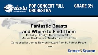 Fantastic Beasts and Where to Find Them arr Patrick Roszell – Score amp Sound [upl. by Wincer]