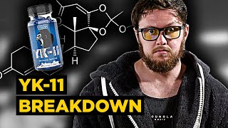 YK11 Myostatin Inhibitor Overview  Most UNSAFE Compound Known to Man Side Effects PEDucation [upl. by Rena]