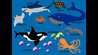 I love the dolphins sea animals song [upl. by Marji]