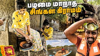 இலங்கை தமிழர்களுக்கு தெரியாத சிங்கள கிராமம் 😱 sri lanka village food  sigiriya  sltamilvlogs [upl. by Gilbye]