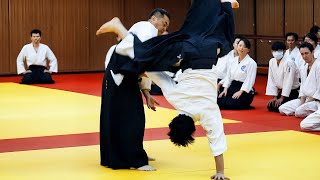 Amazing Aikido in Taiwan [upl. by Ynove132]