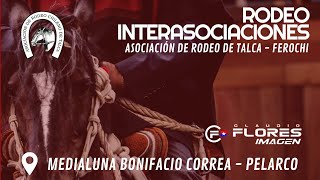 SERIE CRIADORES  RODEO INTERASOCIACIONES  Asociación Talca [upl. by Ahseal959]