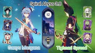 C0 Ganyu Morgana amp C0 Tighnari Spread  Spiral Abyss 38  Floor 12 9 star  Genshin Impact [upl. by Dowdell113]