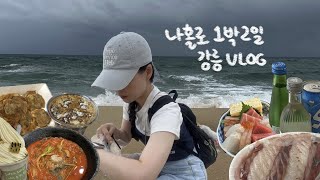 vlogㅣ뚜벅이의 비오는 1박2일 강릉여행 feat혼술•혼여행ㅣ혼자서도 잘먹고 잘다니네ㅣ강릉맛집 강릉카페 강릉숙소 강릉소품샵 [upl. by Rebor]