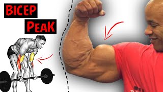 Top 5 For Bicep Peak Workout  Bicep Peak [upl. by Manchester]