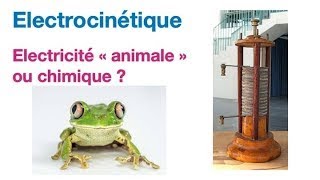 Electrocinétique 21 Electricité animale ou chimique [upl. by Laise]