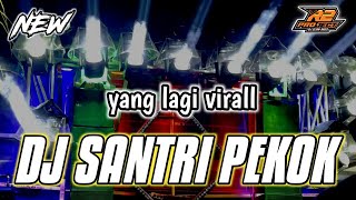 DJ SANTRI PEKOK X MELODY SYAHDU  by r2 project official remix [upl. by Barrow455]