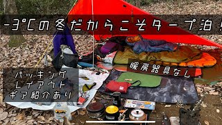 68 【冬のUL風なタープ泊ライト徒歩キャンプ】ギア紹介、レイアウト、パッキング動画あり、バックパックキャンプ [upl. by Briscoe]