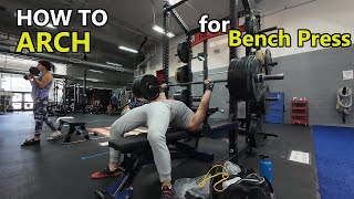 BENCH PRESS ARCH GUIDE  How To Properly Arch On The Barbell Bench Press  Beginners Basics [upl. by Marriott]