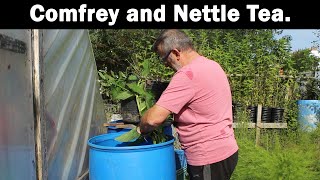 Comfrey Tea Nettle Tea free from the garden [upl. by Ralyt]