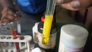 ACTIVITY 21  CLASS XI  CHROMYL CHLORIDE TEST  IDENTIFICATION OF CHLORIDE RADICAL [upl. by Constantia]