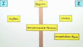 DonnanGleichgewicht  Chemie  Physikalische Chemie [upl. by Doowron41]