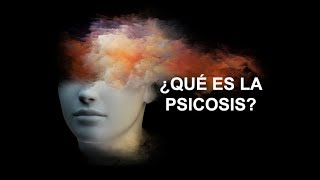 ¿Qué es la Psicosis [upl. by Lytton]