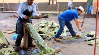 Tacátzcuaro elaboración de Reatas de Lazar [upl. by Shewchuk]