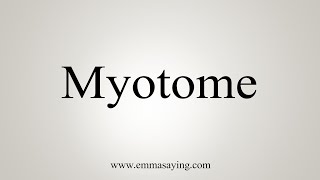 How To Say Myotome [upl. by Ahsinnek]