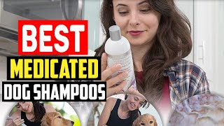 Top 5 Best Medicated Dog Shampoos in 2023 [upl. by Eahc]