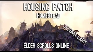 ESO Housing New Info Huge costumizable Houses ESO [upl. by Teplitz525]