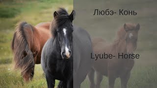 Learn Russian with Songs  Lyube Horse  Любэ Конь [upl. by Kcirtapnaes]