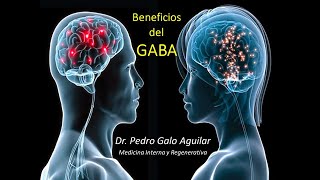 GABA beneficios [upl. by Eniledgam]