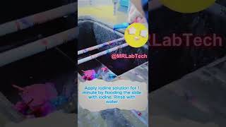 🧪🥰🩸 Gram staining Procedure 🦠🧪 microbiology kesariya arijitsingh bmlt science [upl. by Kimon]