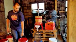 Making Red Wine From Grapes  Part 2 [upl. by Bertold]