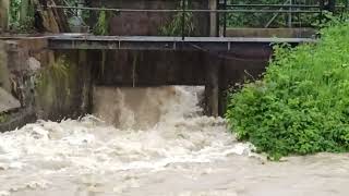 Hochwasser in Baienfurt Wolfegger Ach 01062024  01 [upl. by Lelah]