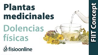 ¿Cómo utilizar las plantas medicinales sobre los problemas de espalda articulares y musculares [upl. by Stefano]