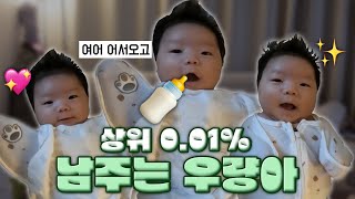 ENG 상위 01 우량아👶 태어난 지 45일 만에 67kg 💦 [upl. by Lledrac]