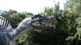 Spinosaurus  Dinosaurus Park Funtana  Croatia [upl. by Trebleda]