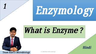 What is Enzyme  Hindi  Enzymology [upl. by Mavis]