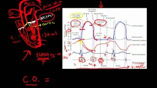 Cardiac Cycle [upl. by Ysteb]