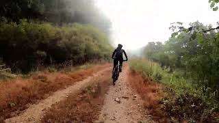 CANNONDALE SCALPEL HT HIMOD 1 TEST RIDING 캐논데일 스카펠HT 하이모드1 [upl. by Earl]