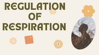 Regulation of Respiration  Respiratory Centers  Chemical control of respiration [upl. by Cora]