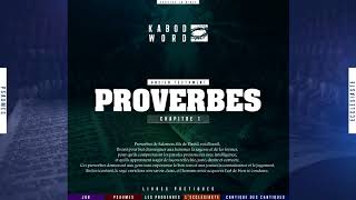 « Proverbes » LAncien Testament  La Bible Du Semeur audio VF Complète [upl. by Lempres498]