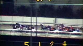 1982 Meadowlands Pace  Hilarion amp John Campbell [upl. by Doug]