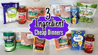 Quick amp Easy 3INGREDIENT Dinners You Can Make TONIGHT  Tasty Cheaper Meal Ideas  Julia Pacheco [upl. by Ihtraa]