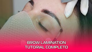 BROW LAMINATION COMO FAZER ❤️ [upl. by Miett]