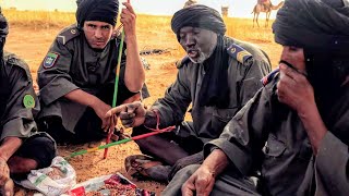 Mauritanie  Méharistes gardiens du désert [upl. by Kayne948]