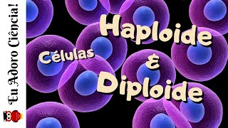 Células Haploide n e Diploide 2n [upl. by Ebert416]