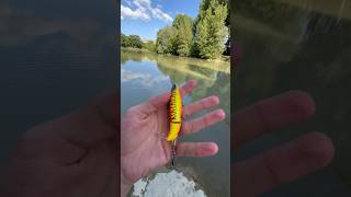 WOPPER PLOPPER MOVINGcasting ABU GARCIA MAX PRO tevere [upl. by Mina]